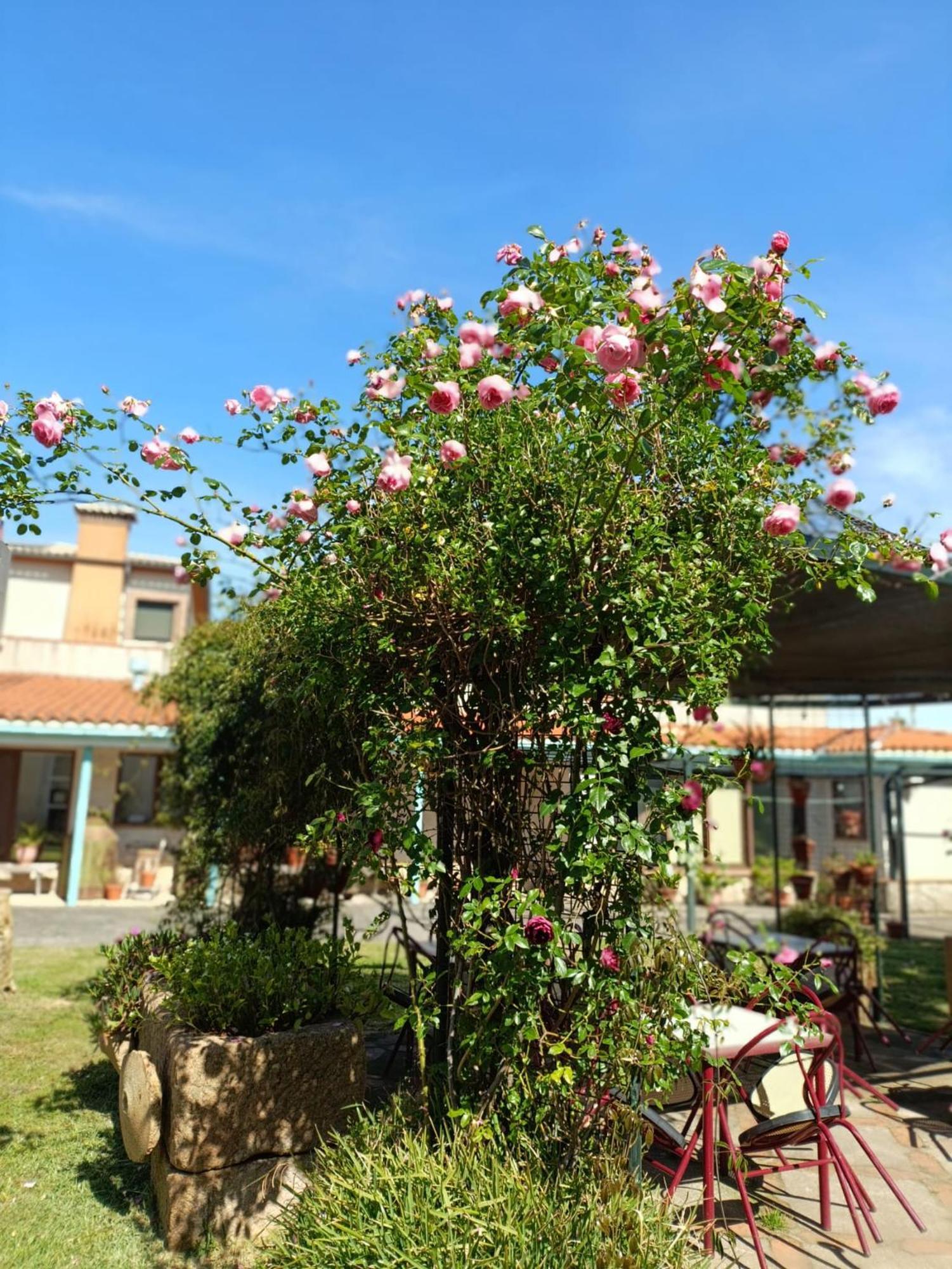 Casa Rural Del Corral Malpartida De Plasencia Extérieur photo